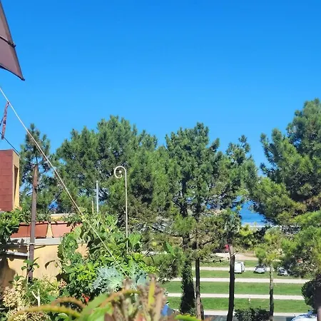 Fgdr343i El Pinar Apartment